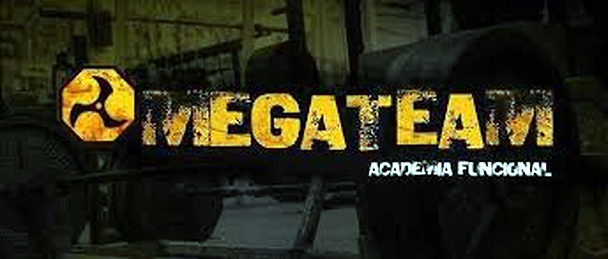 MegaTeam Academia Funcional